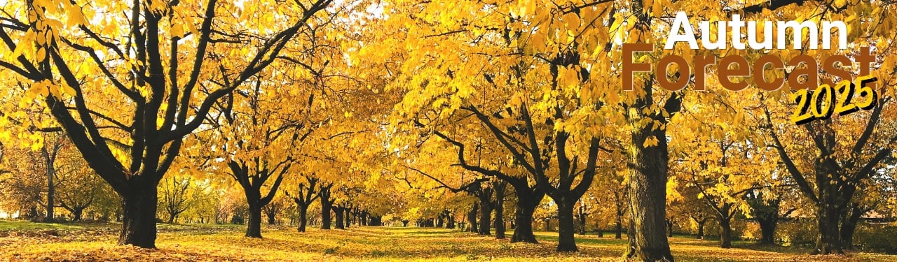 Long Range Forecast for Autumn 2025