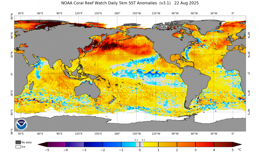 Global sea surface temperature anomaly map