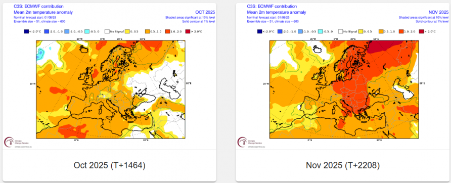 ECMWF seasonal temperature anomaly forecast for October and November