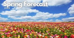 Long range Spring forecast