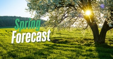 Spring forecast
