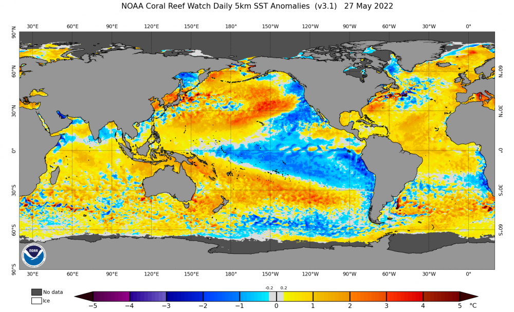 Current SST Anomalies