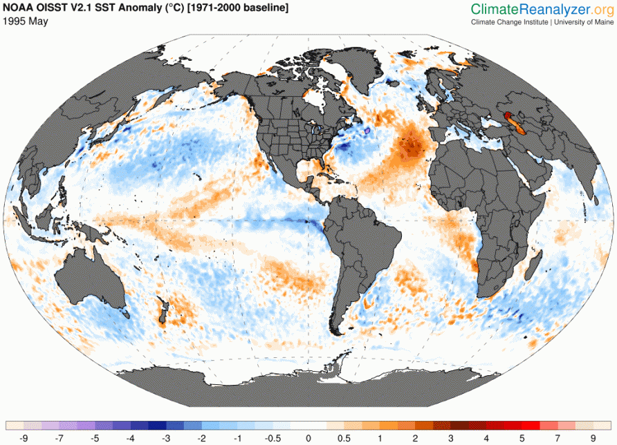 Long Range Weather Forecast | Summer 2024 | Netweather.tv
