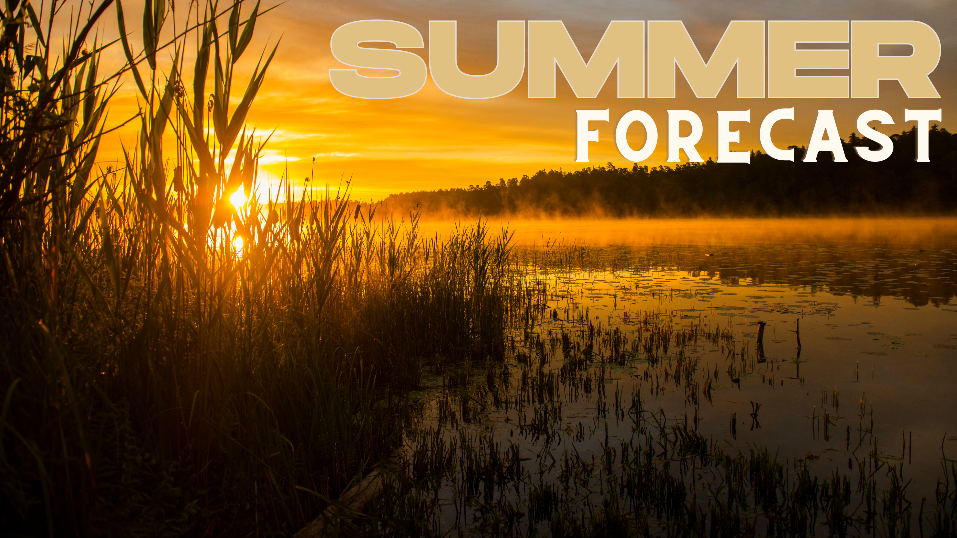 Summer Forecast 2025 Now Available