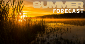 Long range Summer forecast