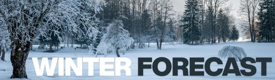 Winter Forecast 2025/2026