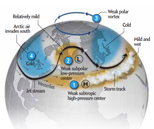 What Is The Polar Vortex?