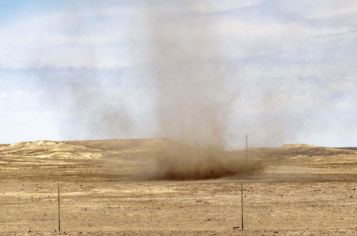Dust devils, whirlwinds or Willy Willys