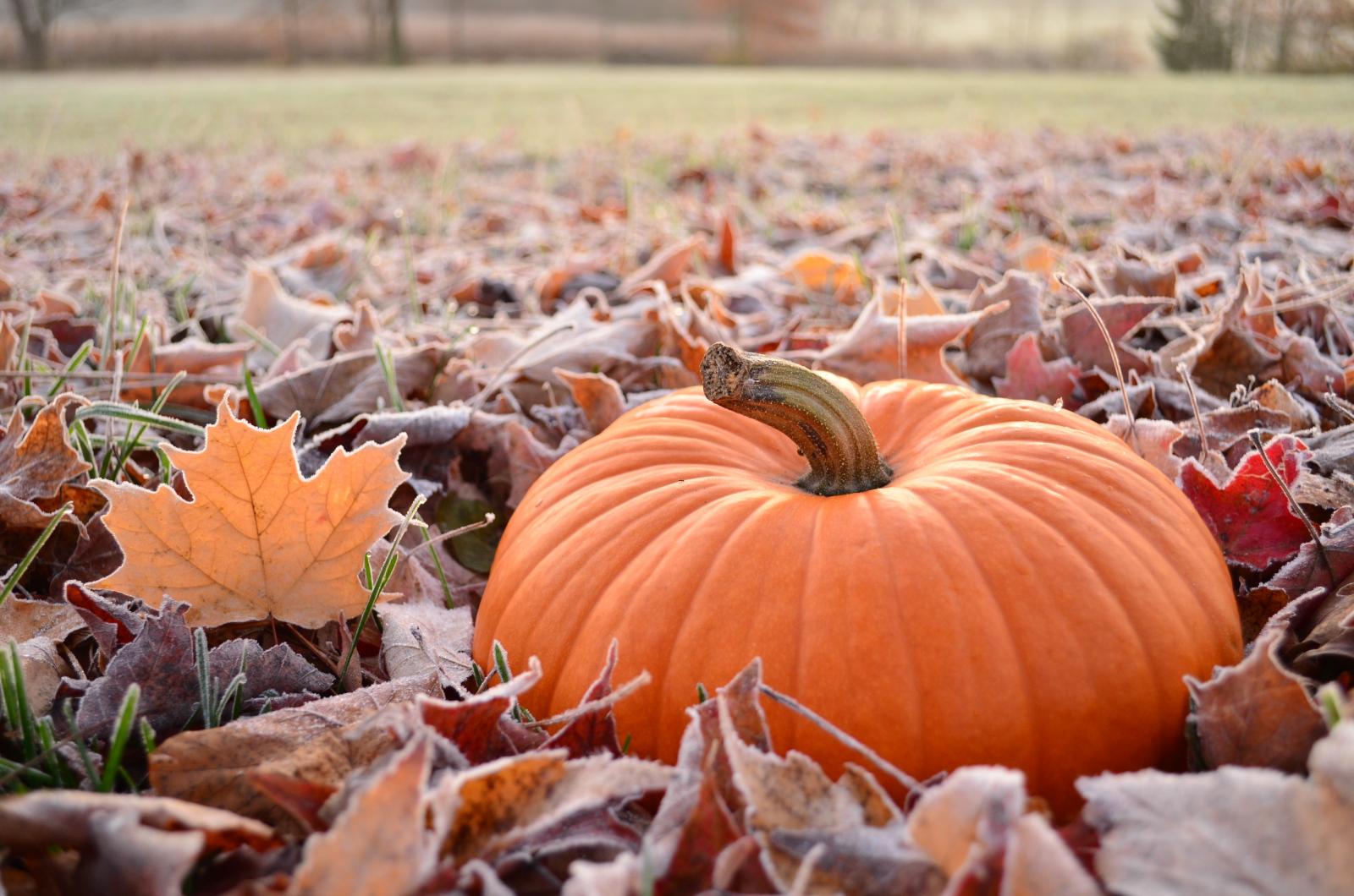 uk-weekend-weather-southern-rain-clears-and-colder-air-takes-hold