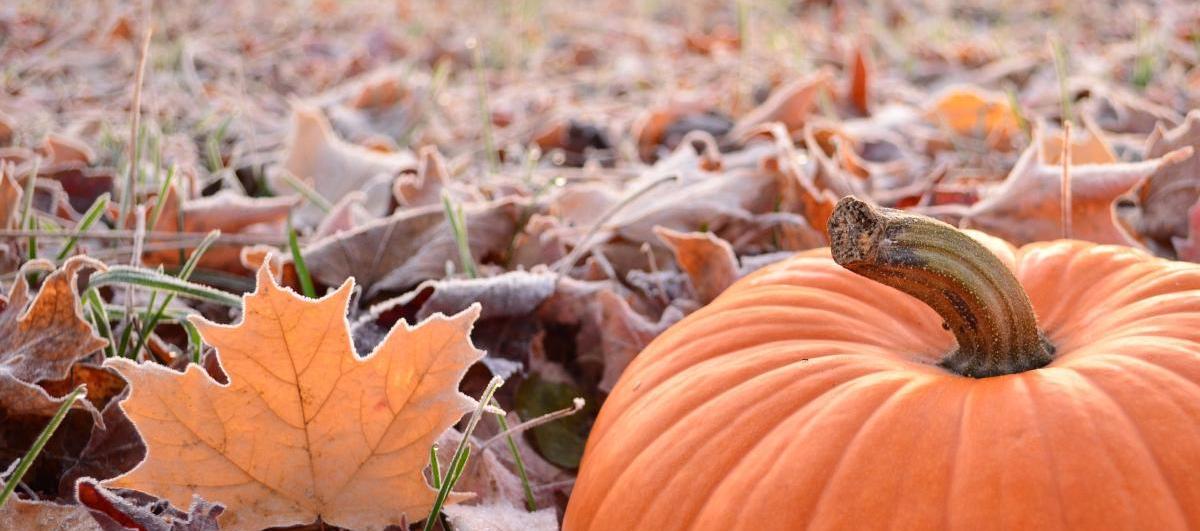 A cold start with a touch of frost, milder for Halloween
