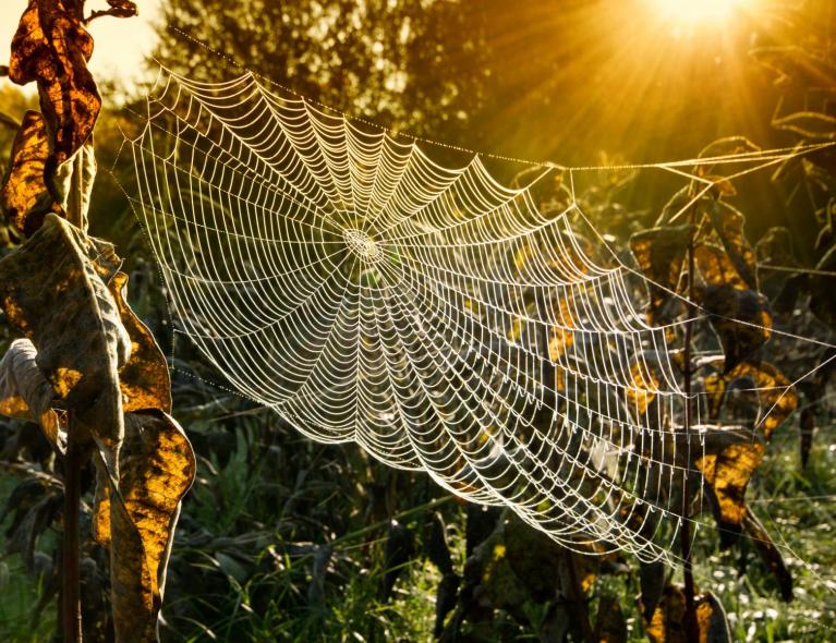 September's evolving pattern: A wet beginning, lessons from the past, and a drier end in sight