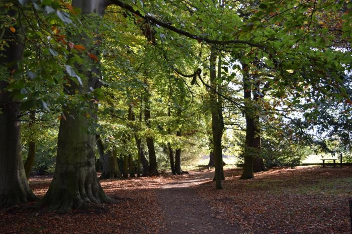 Is there a late September heatwave on the way?