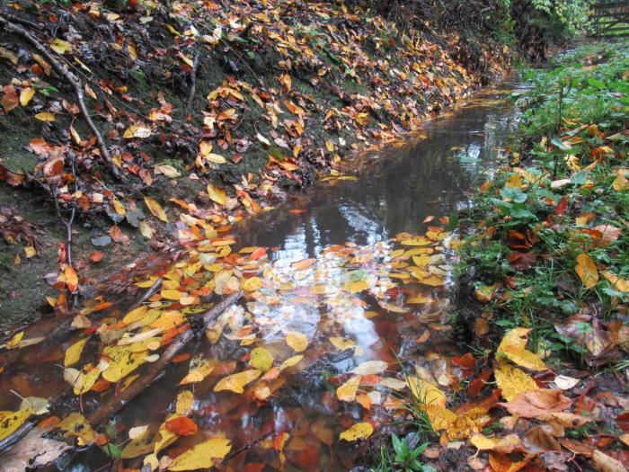October shifts into autumn wind and rain mode but drought areas need it