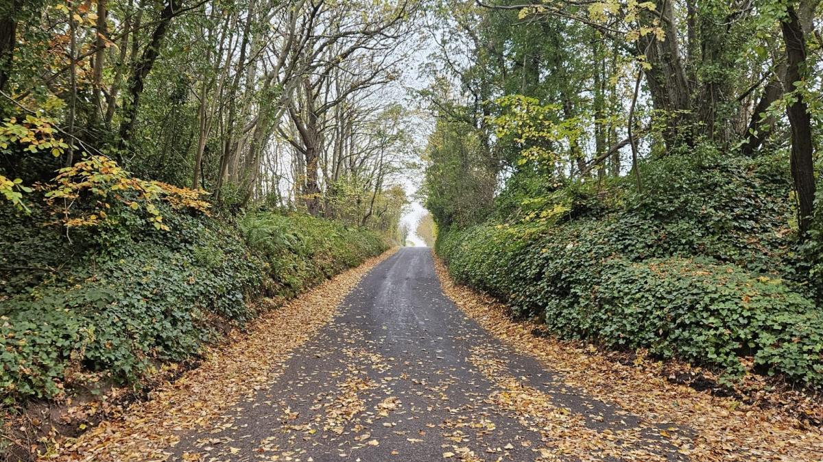 Midweek change to milder air but gales for the far northwest