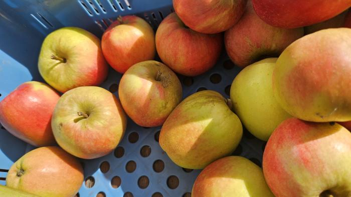 The fine autumn weather doesn't last for everyone this weekend