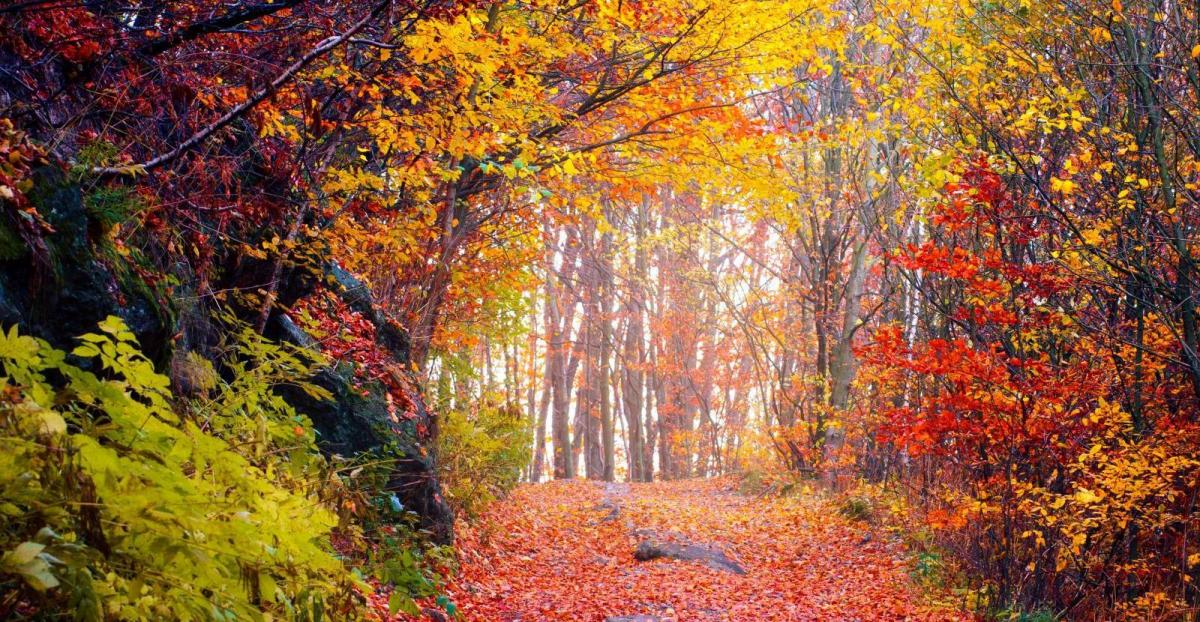 Autumn 2024: An early look ahead