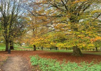 A mixed week for the end of November