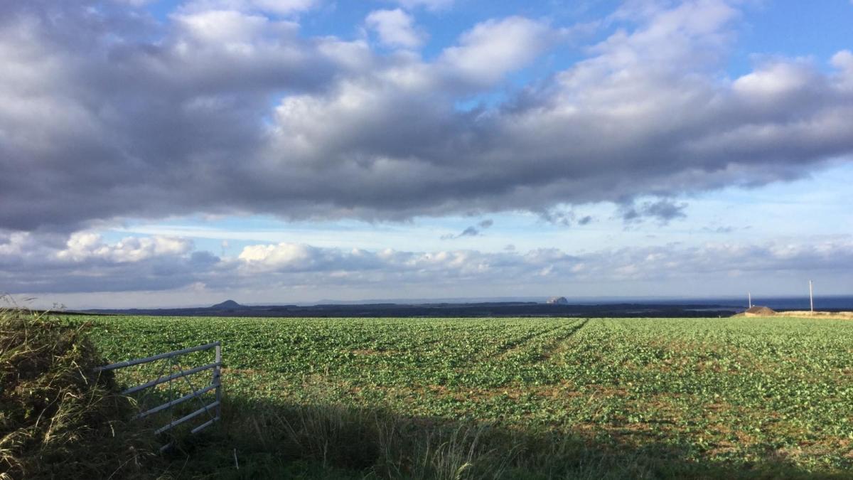 Week ahead: Fine and warm in the south, before mid-week change
