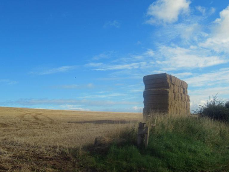 Cooler and fresher conditions arrive in a changeable week