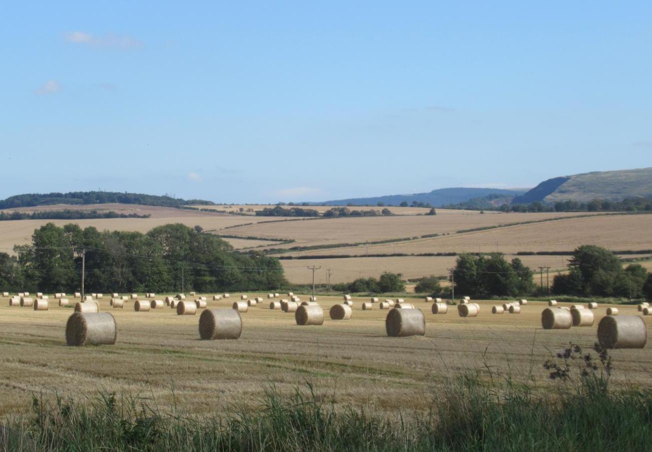 A brief respite from recent wet weather and turning warmer for a time too