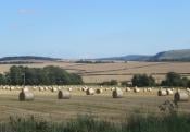 A brief respite from recent wet weather and turning warmer for a time too