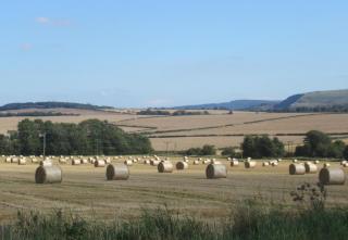 A brief respite from recent wet weather and turning warmer for a time too