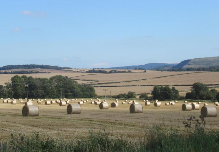 A brief respite from recent wet weather and turning warmer for a time too