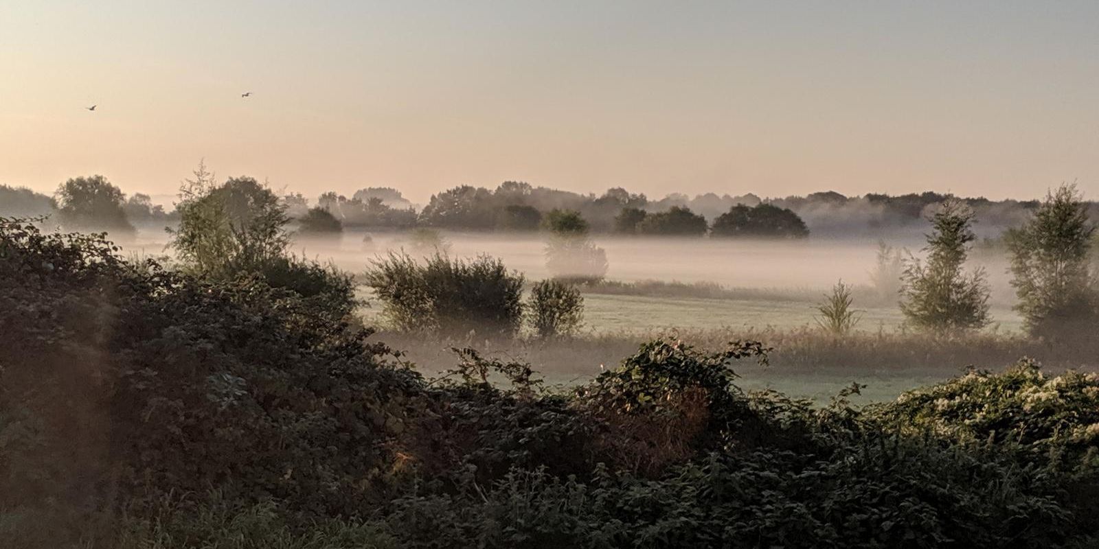 High pressure builds through the week and looks set to stay for a while