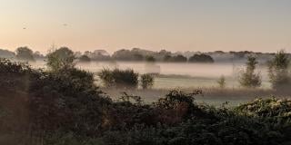 High pressure builds through the week and looks set to stay for a while