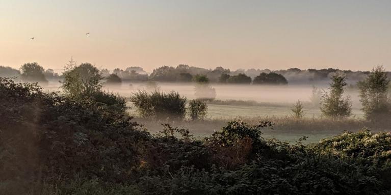 High pressure builds through the week and looks set to stay for a while