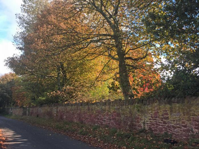 Pack a coat for a blustery, sometimes showery Saturday, but Sunday looks more promising
