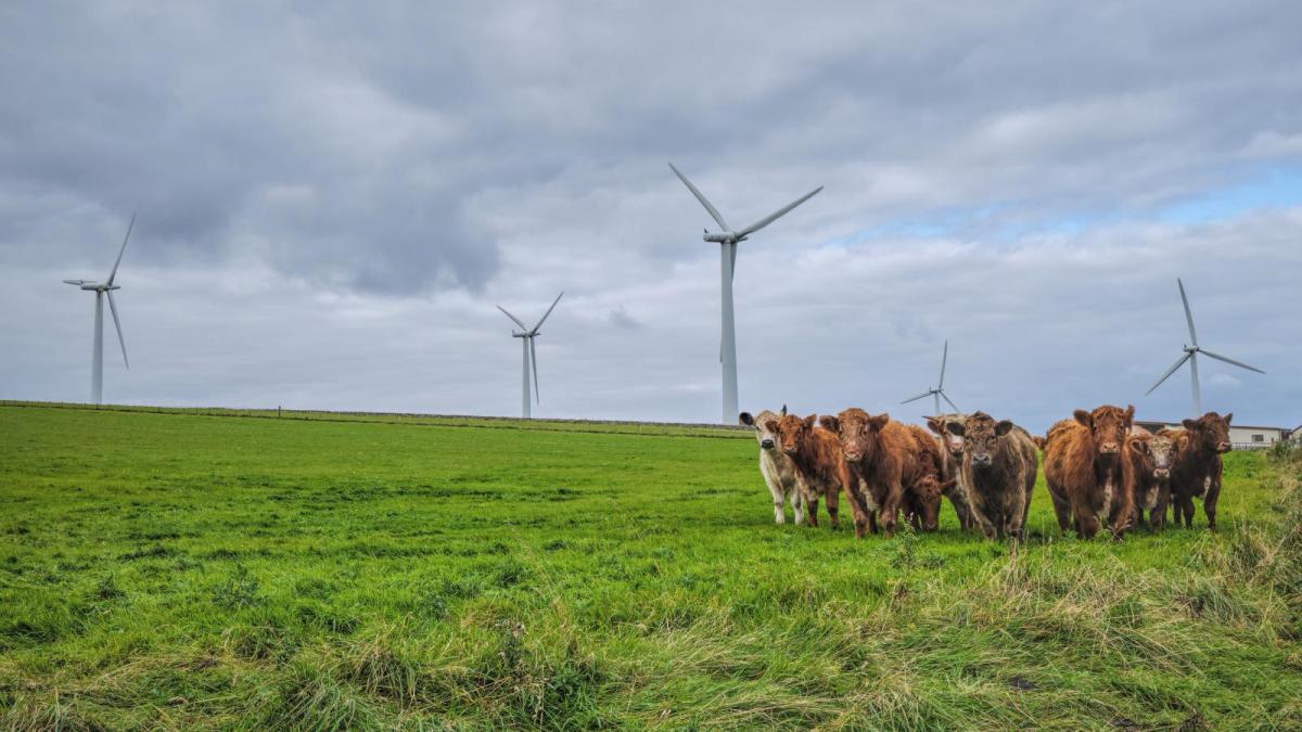 Cooler and unsettled weather on the way - even to the currently summery south