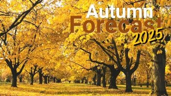 Autumn Forecast 2025