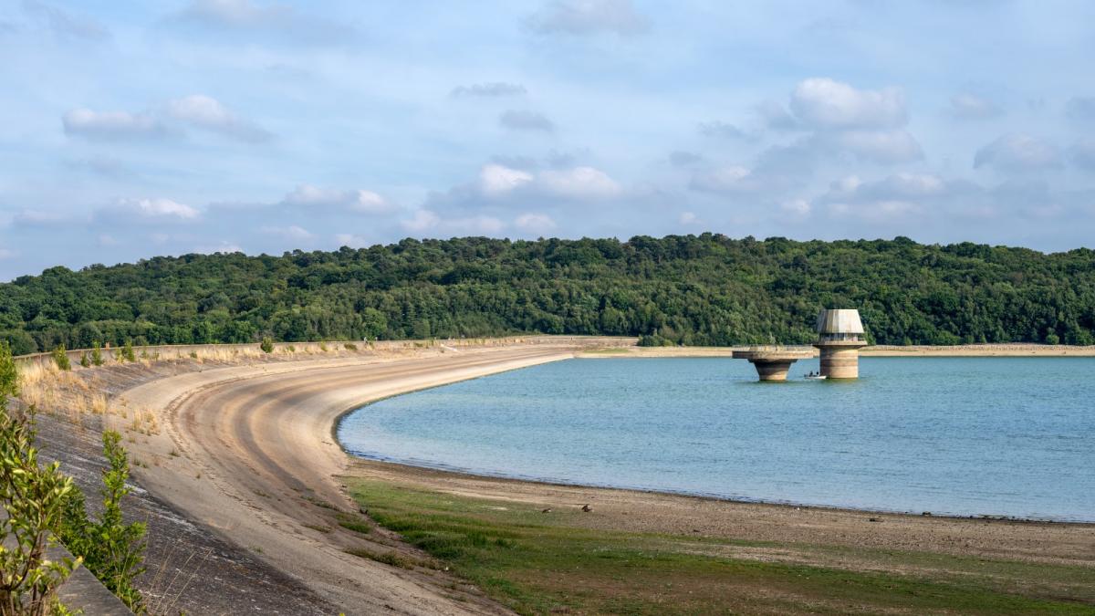 Severe drought declared across parts of southern England as water companies consider their response