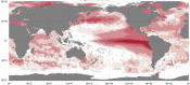 Packing a grab bag, and three days of food and water supplies as a supersized El Nino develops