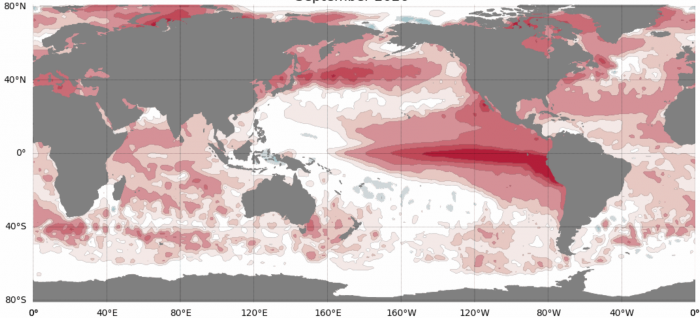 Packing a grab bag, and three days of food and water supplies as a supersized El Nino develops