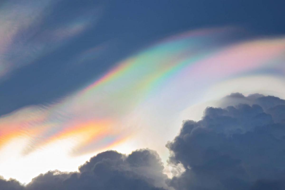 Rainbow Clouds - Pileus and Iridescence