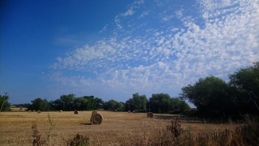 altocumulus castellanus