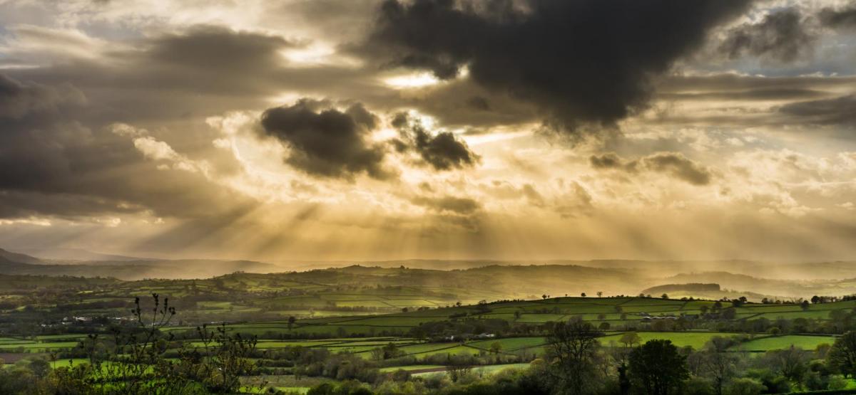 Half-term plans, one better day stands out this week