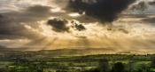 Half-term plans, one better day stands out this week