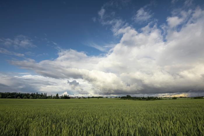 Month ahead: Signs of a change for late May?