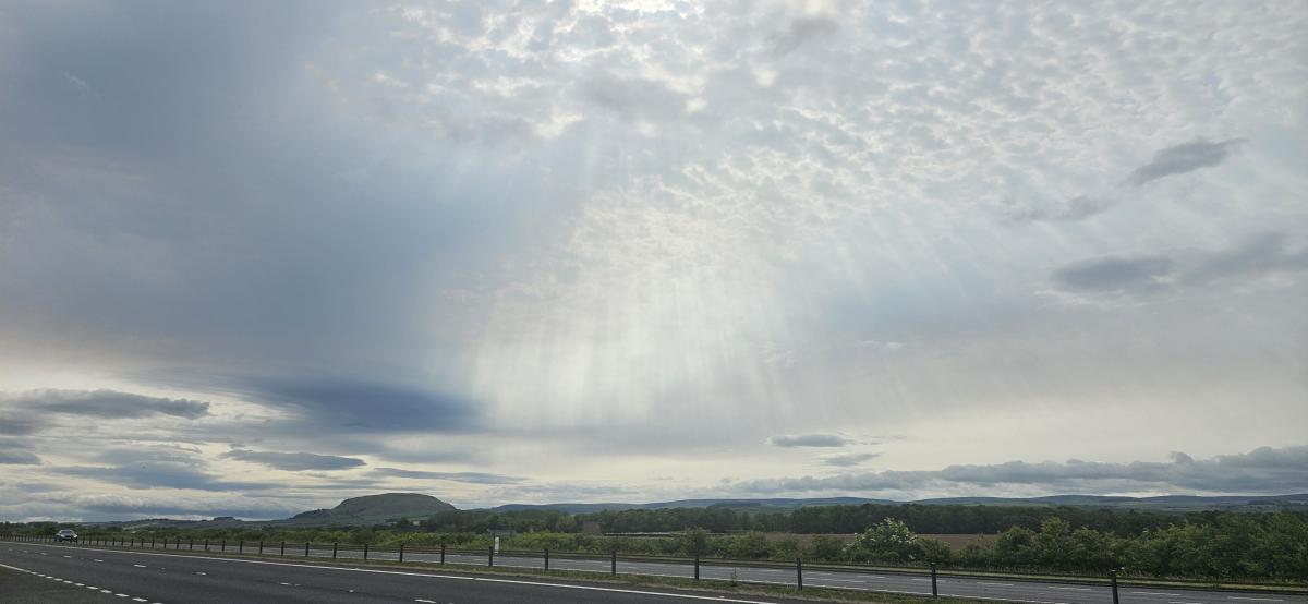 The first week of June brings more welcome rain