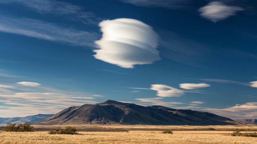 Lenticularis