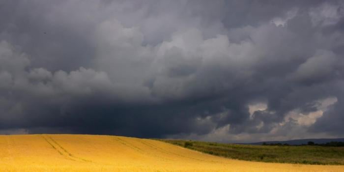 Week ahead: changeable with temperatures around average