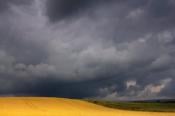 Pockets of wet and windy weather midweek as warm air holds on