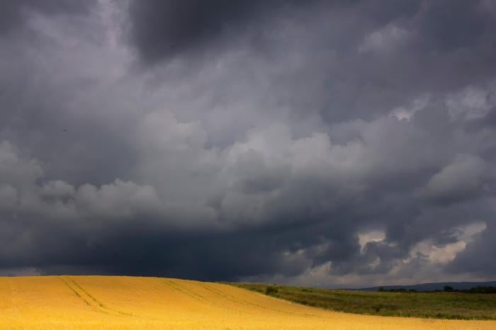Pockets of wet and windy weather midweek as warm air holds on