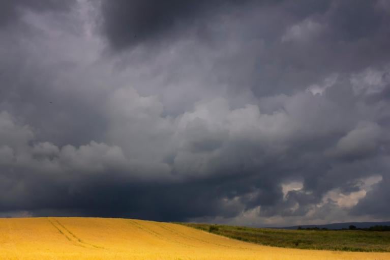 Pockets of wet and windy weather midweek as warm air holds on