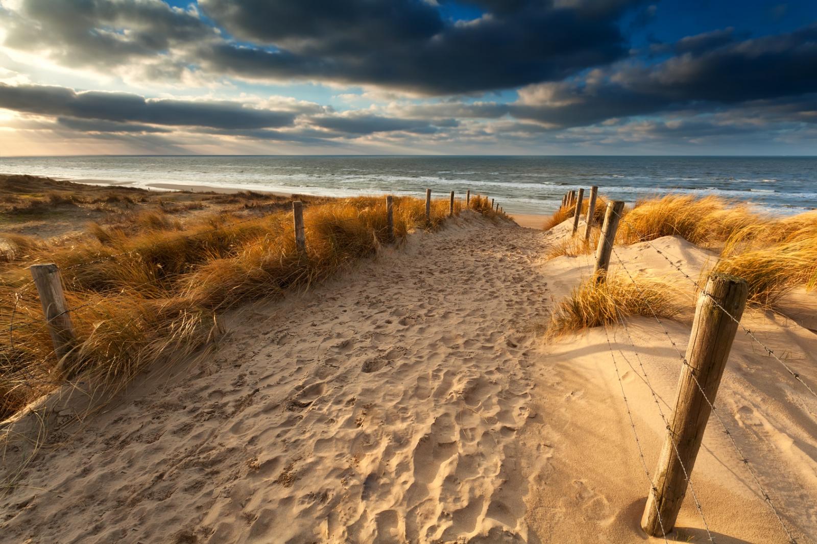A look ahead to the last two weekends of Summer, including the late August Bank Holiday