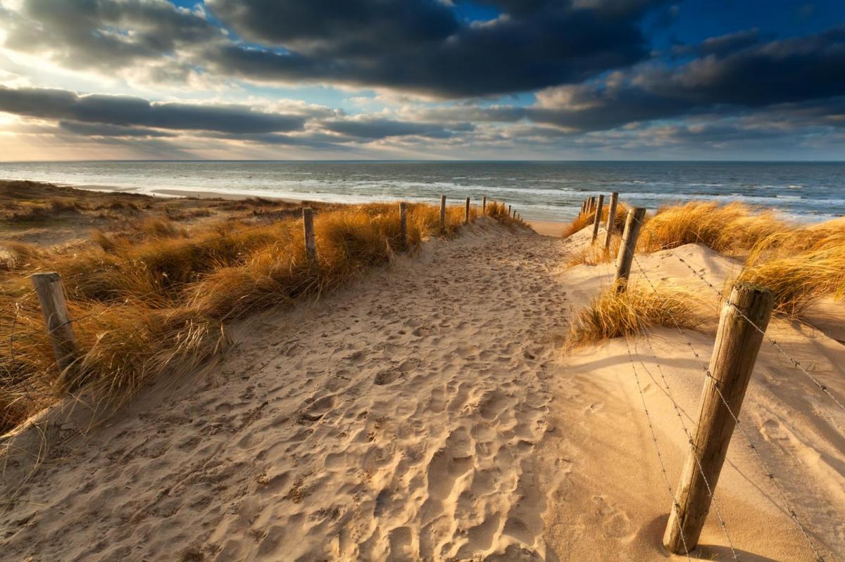 A look ahead to the last two weekends of Summer, including  the late August Bank Holiday
