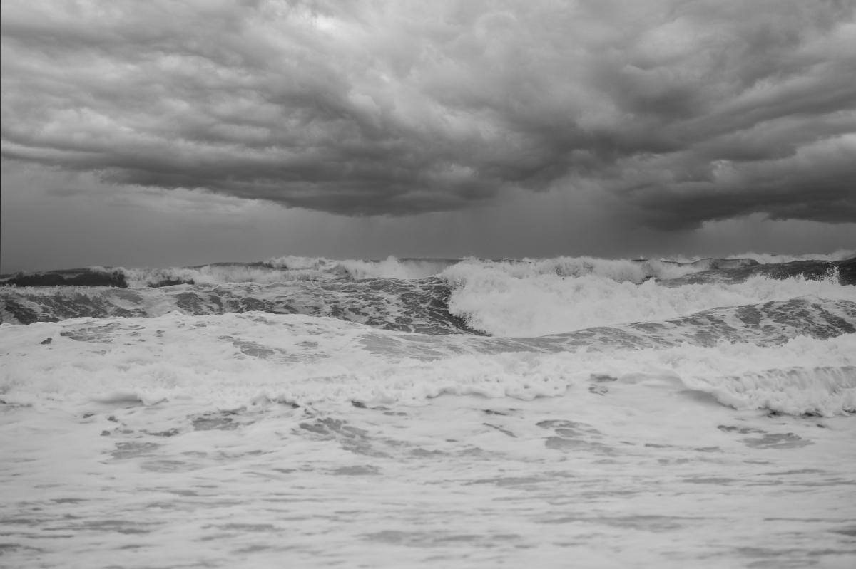 Wind and rain returns along with a roller coaster of temperatures 